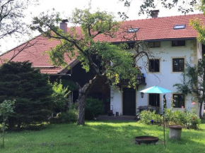 Bauernhaus mit Garten